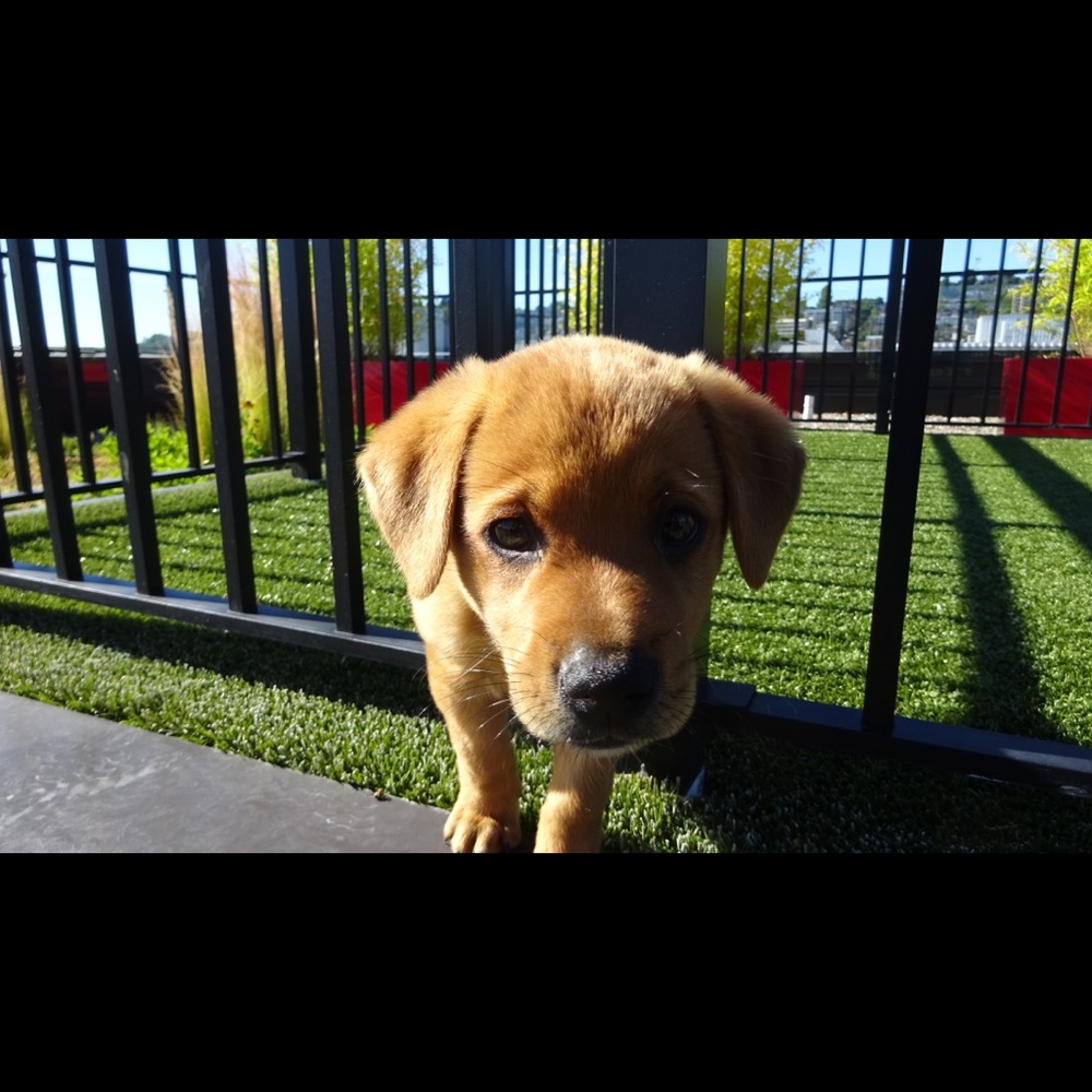 Meet your Posher, Katherine